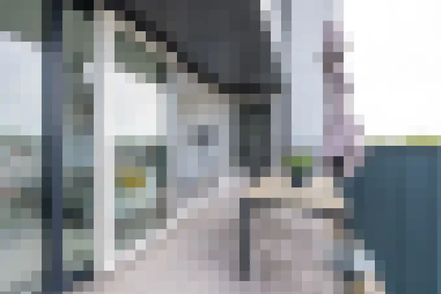 Jaagpad 37 Alkmaar thumbnail 19