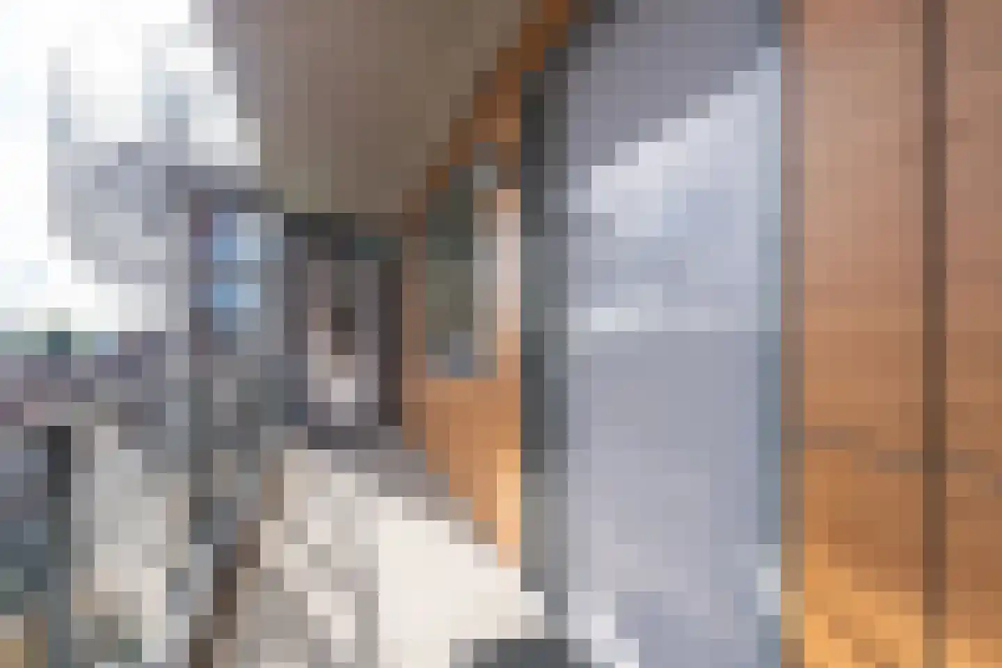 Jaagpad 37 Alkmaar thumbnail 33