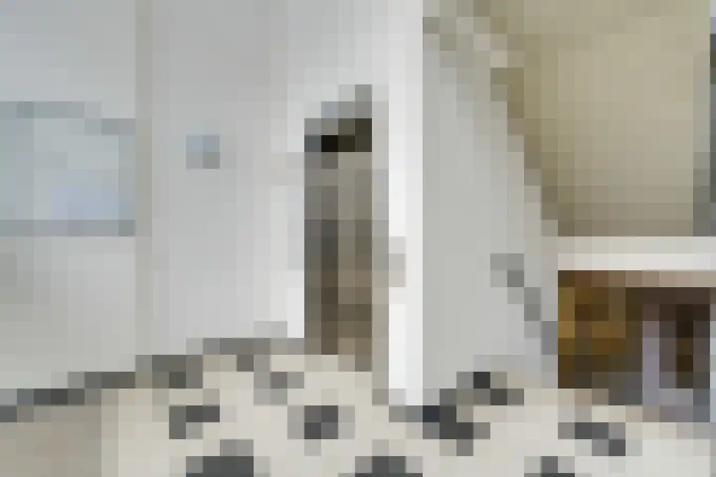 Jaagpad 37 Alkmaar thumbnail 38