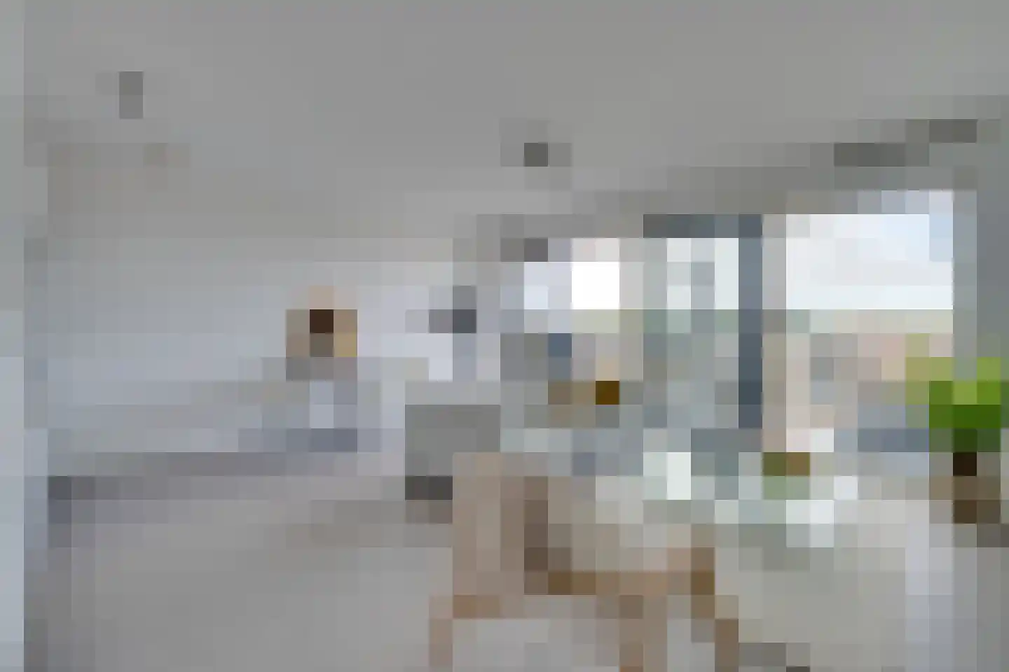 Jaagpad 37 Alkmaar thumbnail 6