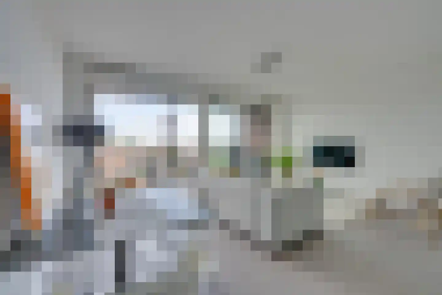 Jaagpad 37 Alkmaar thumbnail 9