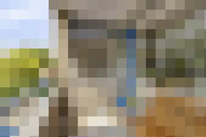 Jaagpad 39 Barendrecht thumbnail 13
