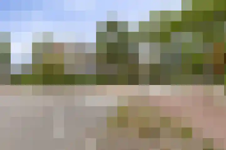 Jaagpad 39 Barendrecht thumbnail 20