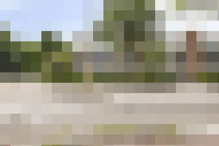 Jaagpad 39 Barendrecht thumbnail 21