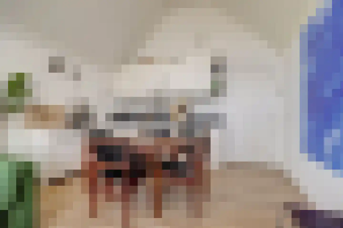 Jaagpad 4 a Gouda foto 3