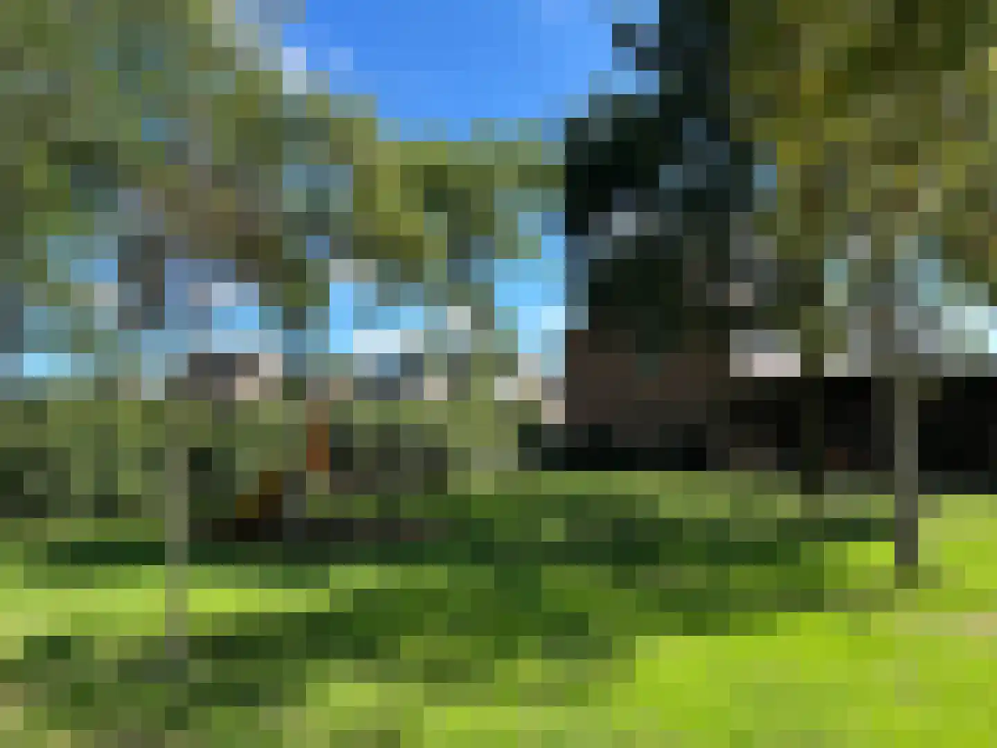 Jaagpad 42 Barendrecht thumbnail 4