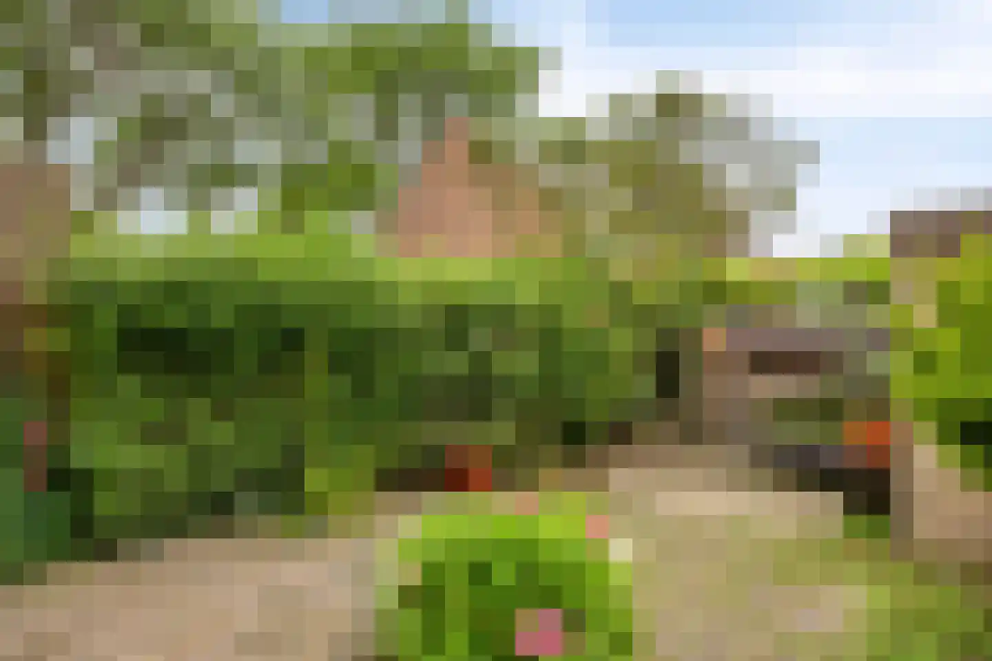 Jaagpad 42 Barendrecht thumbnail 6