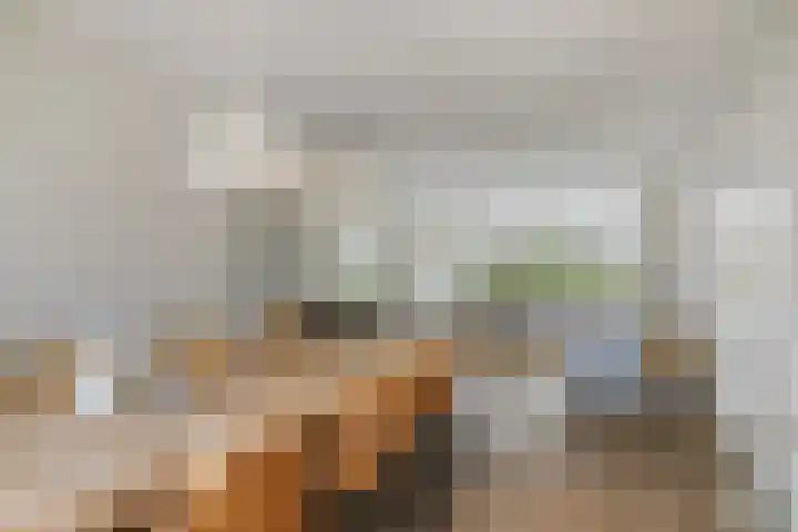 Jaagpad 44 Barendrecht thumbnail 11