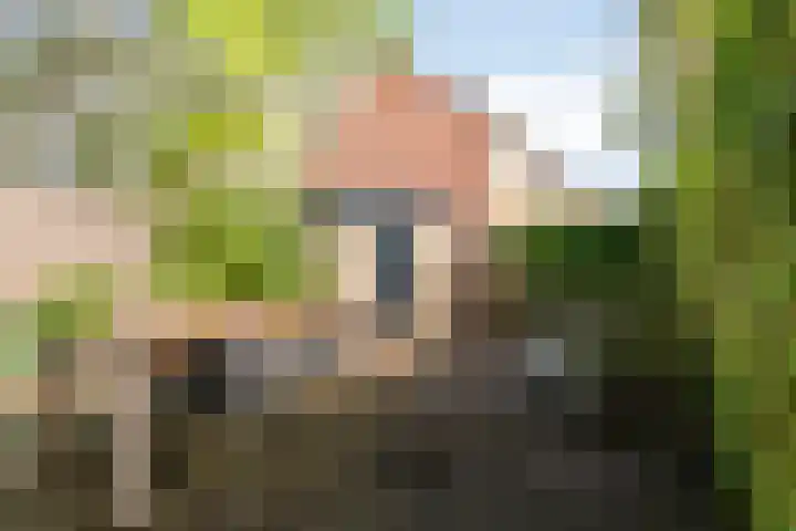 Jaagpad 44 Barendrecht thumbnail 28