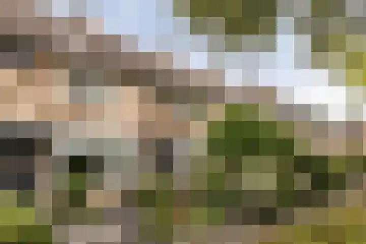 Jaagpad 44 Barendrecht thumbnail 31