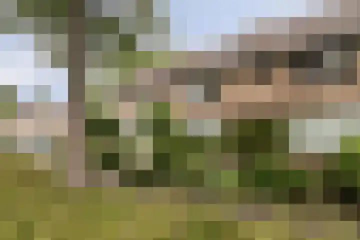Jaagpad 44 Barendrecht thumbnail 33