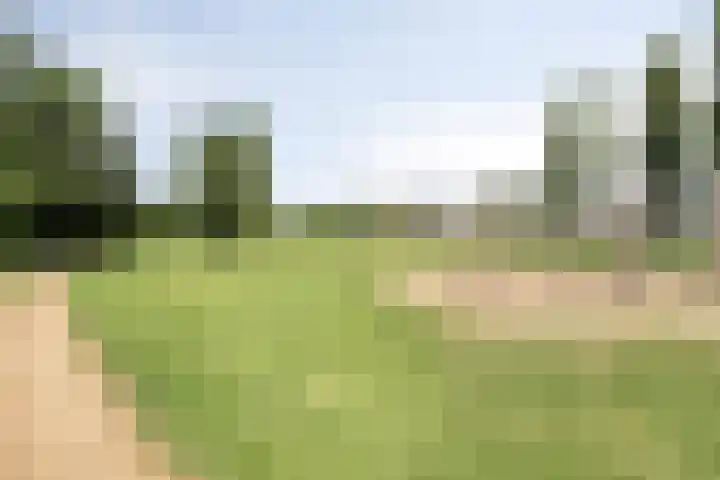 Jaagpad 44 Barendrecht thumbnail 38