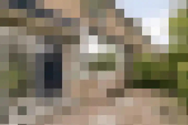 Jaagpad 44 Barendrecht thumbnail 6