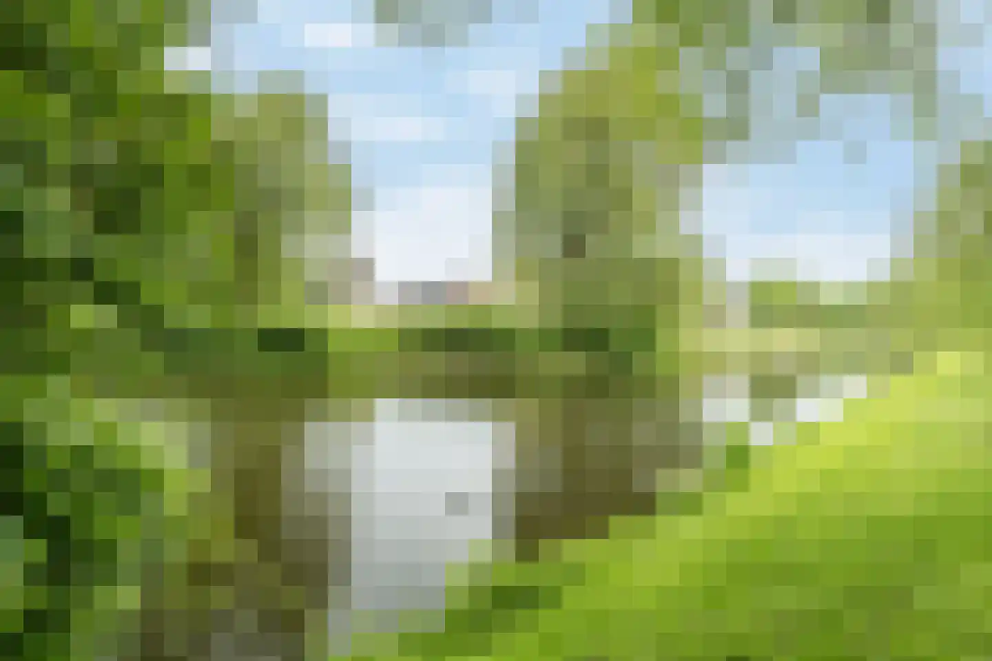 Jaagpad 49 Barendrecht thumbnail 22
