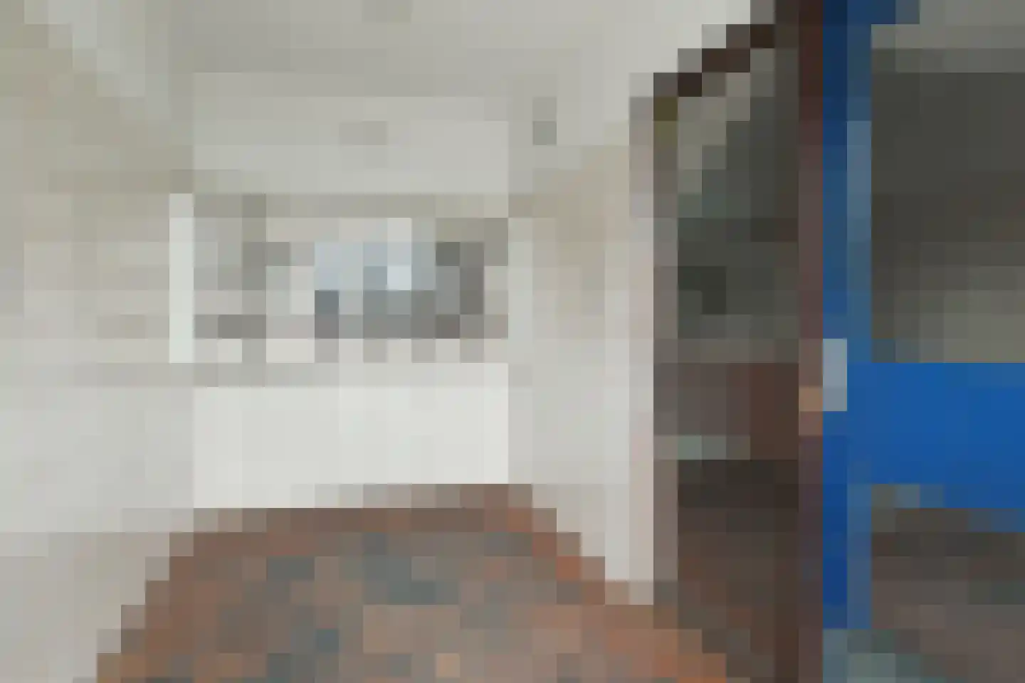 Jaagpad 49 Barendrecht thumbnail 7