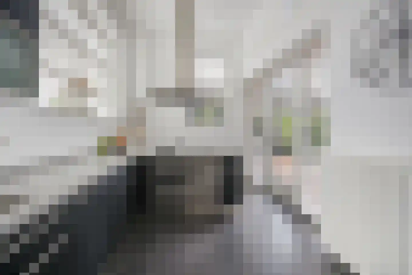 Jaagpad 49 Etten-Leur thumbnail 19
