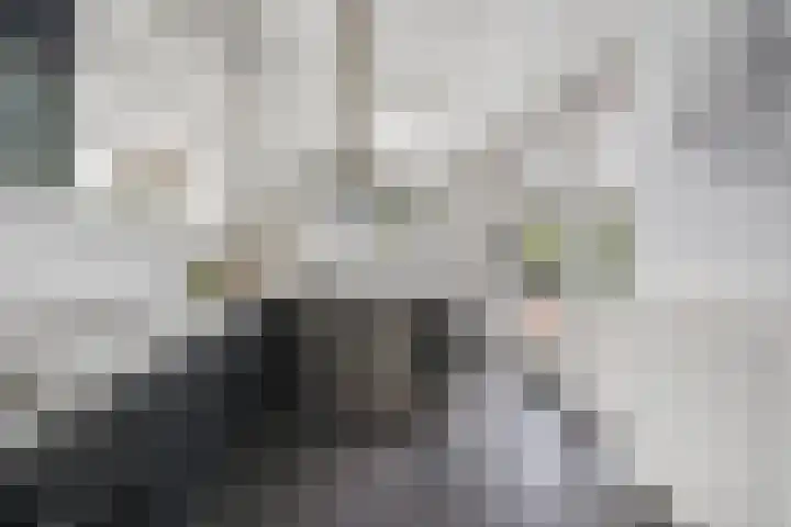 Jaagpad 49 Etten-Leur thumbnail 19