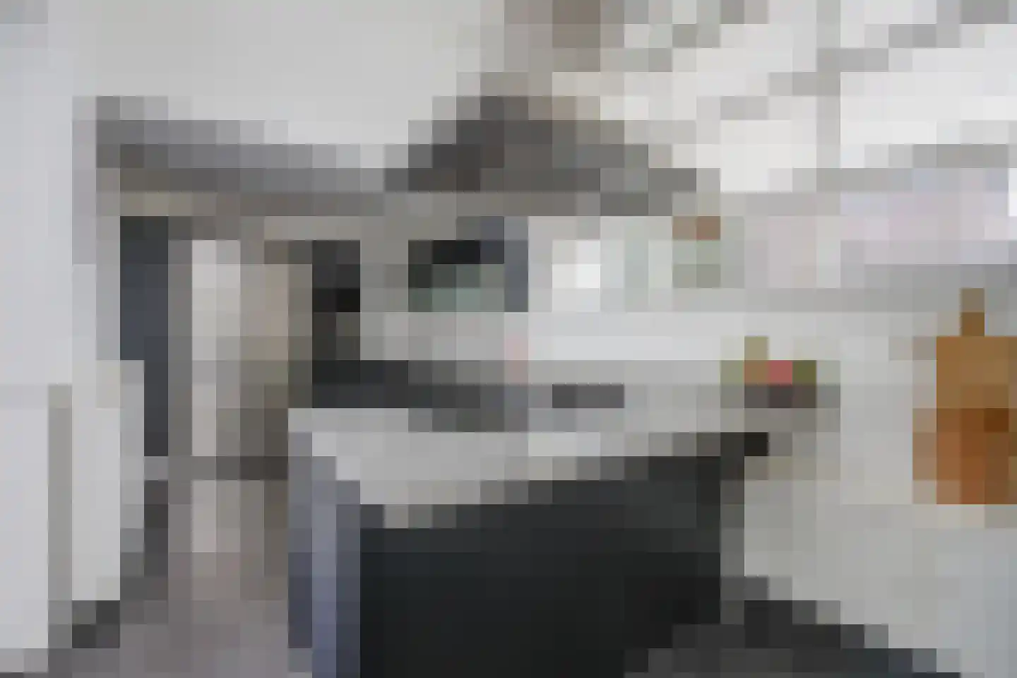 Jaagpad 49 Etten-Leur thumbnail 20
