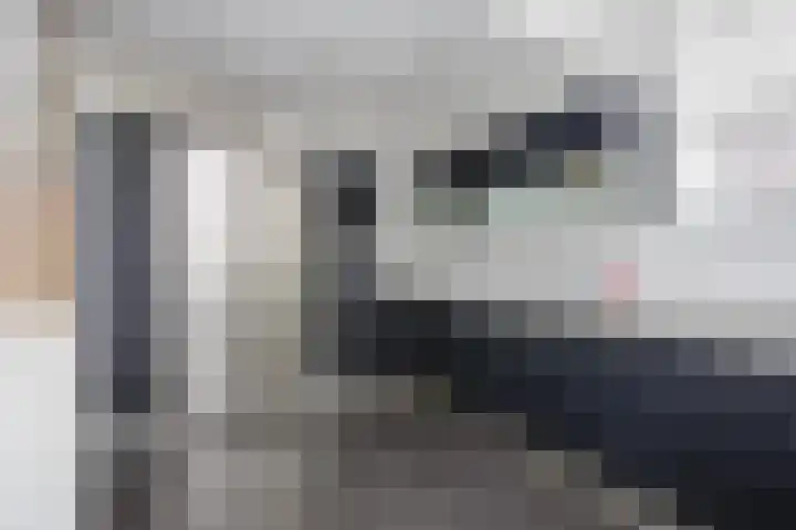 Jaagpad 49 Etten-Leur thumbnail 21