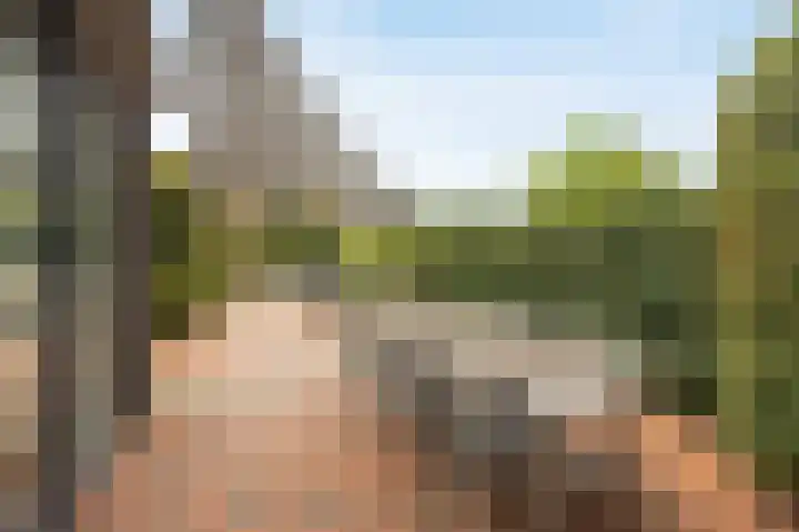 Jaagpad 49 Etten-Leur thumbnail 4