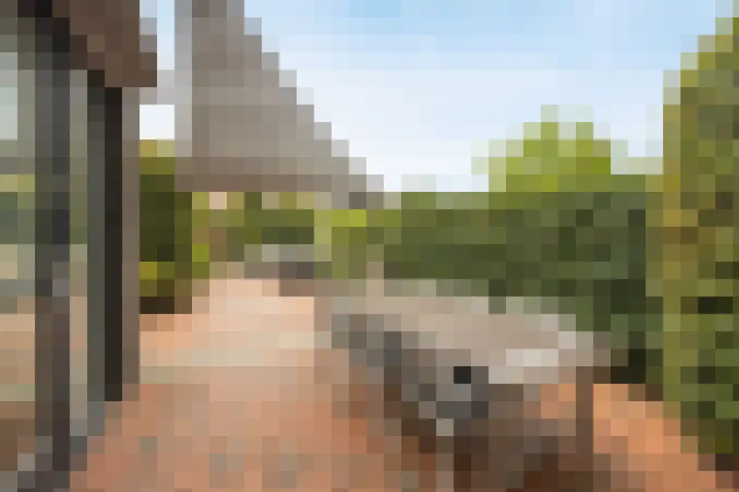 Jaagpad 49 Etten-Leur thumbnail 4