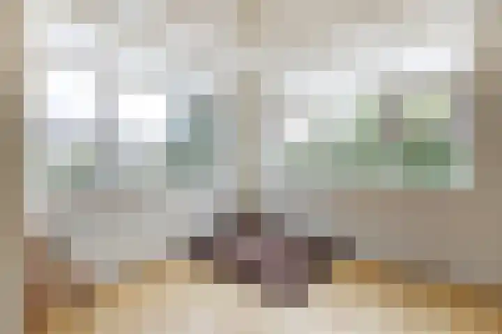 Jaagpad 49 Etten-Leur thumbnail 43