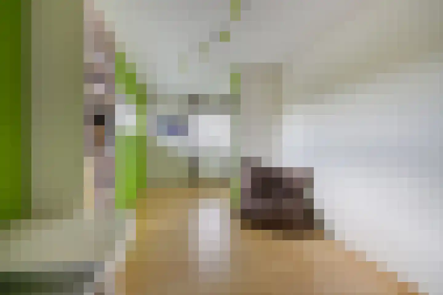 Jaagpad 49 Etten-Leur thumbnail 46