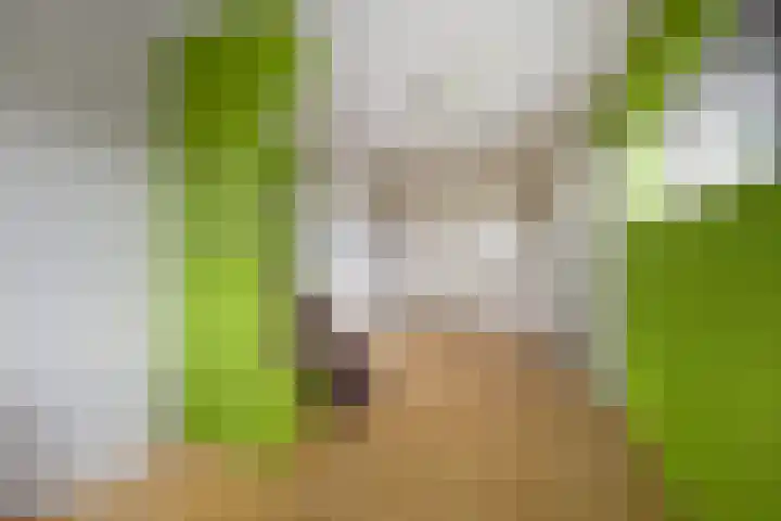 Jaagpad 49 Etten-Leur thumbnail 47