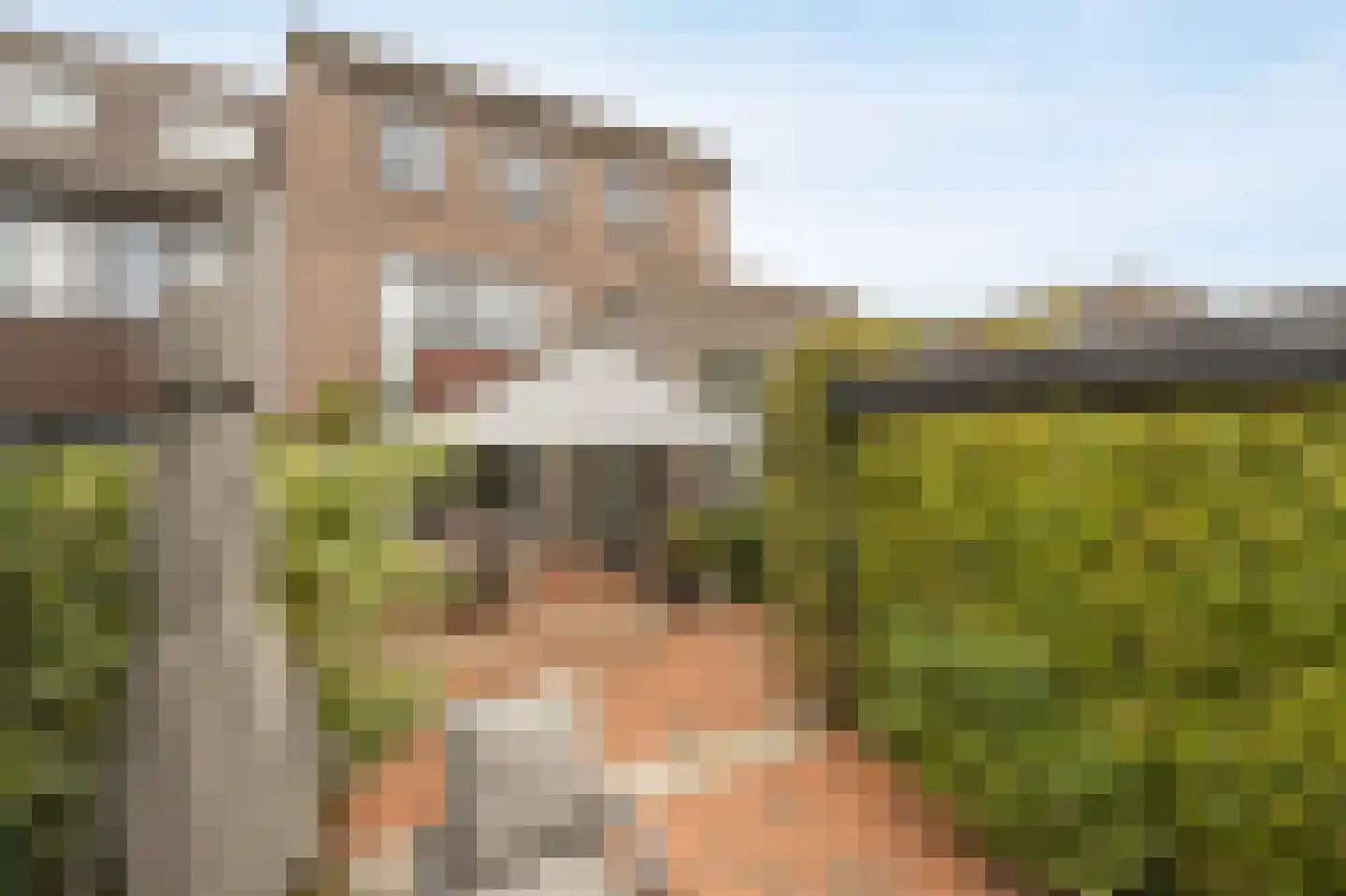 Jaagpad 49 Etten-Leur thumbnail 53