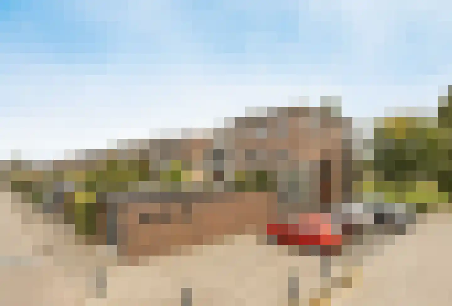 Jaagpad 49 Etten-Leur thumbnail 54
