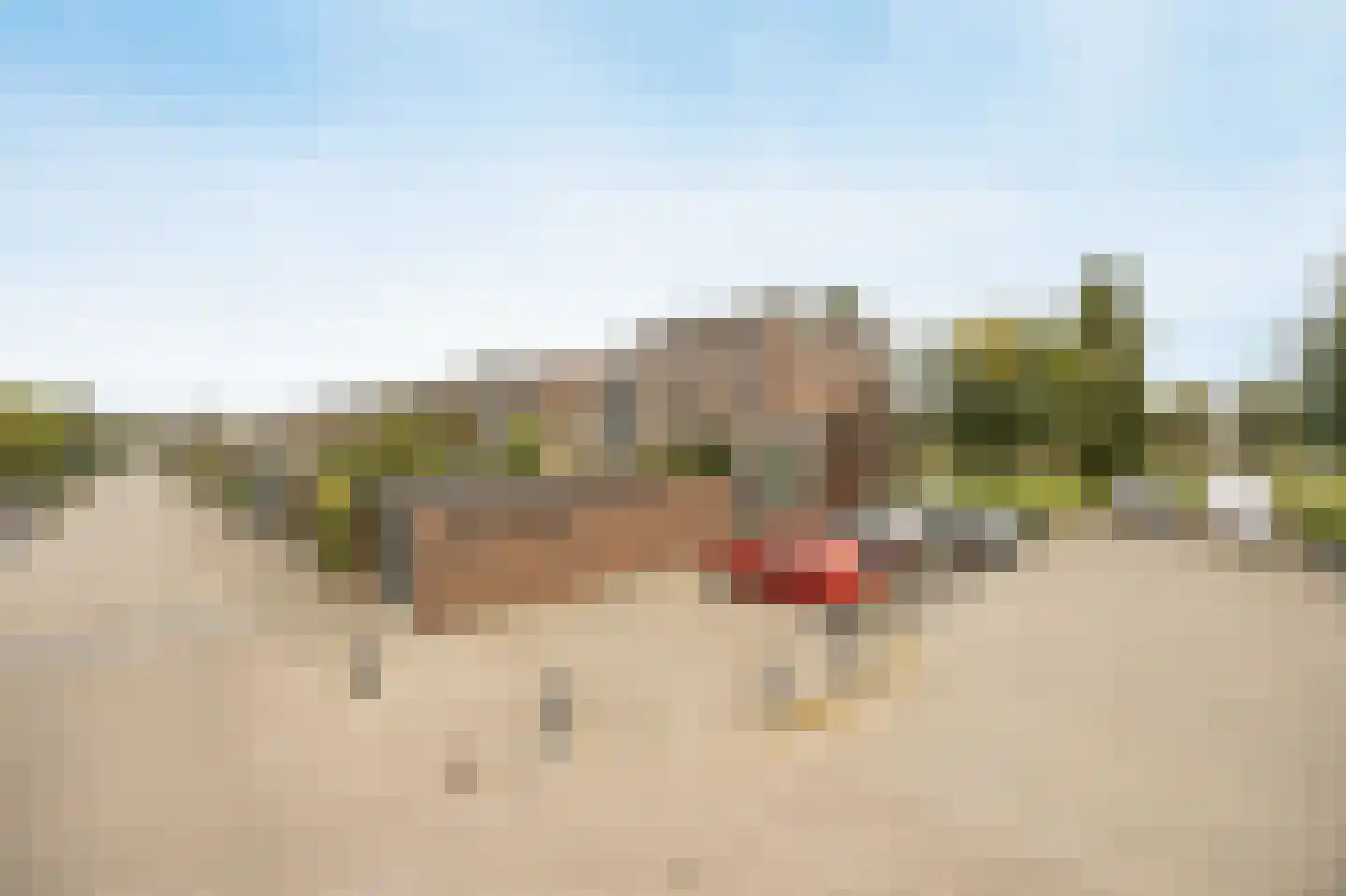 Jaagpad 49 Etten-Leur thumbnail 55