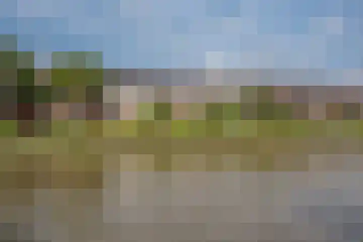 Jaagpad 51 in Rijswijk