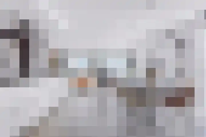 Jaagpad 51 Alkmaar thumbnail 13