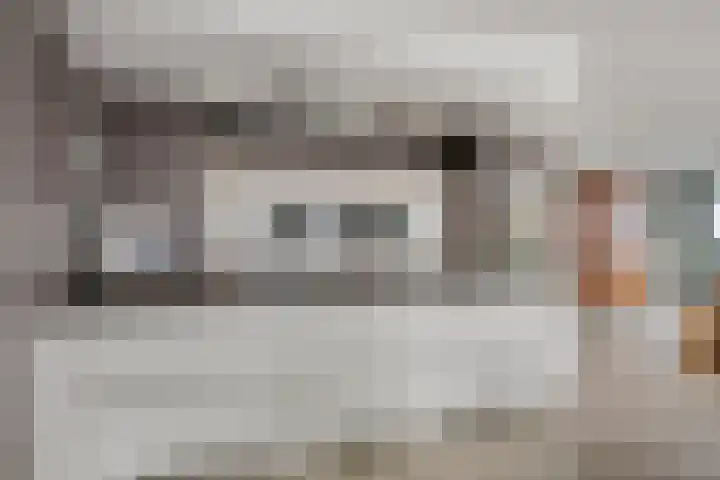 Jaagpad 51 Alkmaar thumbnail 18