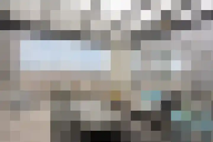 Jaagpad 51 Alkmaar thumbnail 29