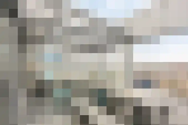 Jaagpad 51 Alkmaar thumbnail 31
