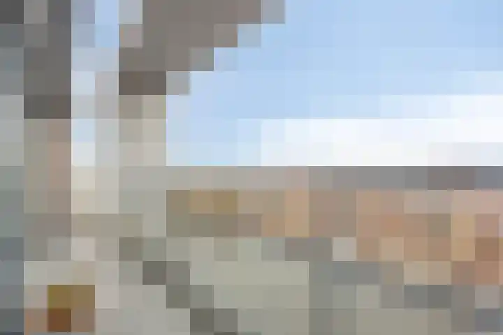 Jaagpad 51 Alkmaar thumbnail 33