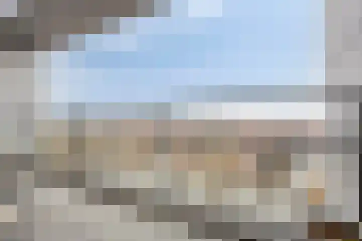 Jaagpad 51 Alkmaar thumbnail 34