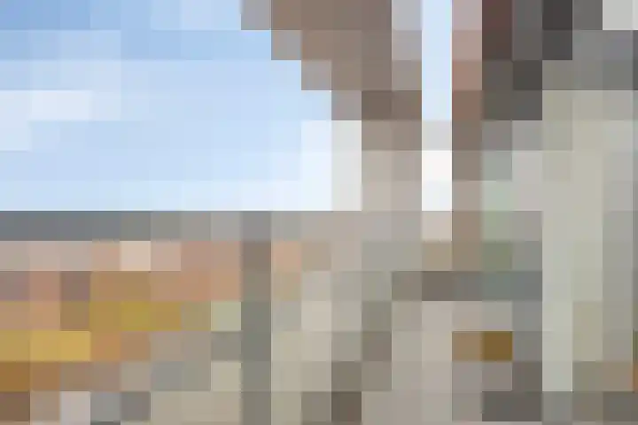 Jaagpad 51 Alkmaar thumbnail 38