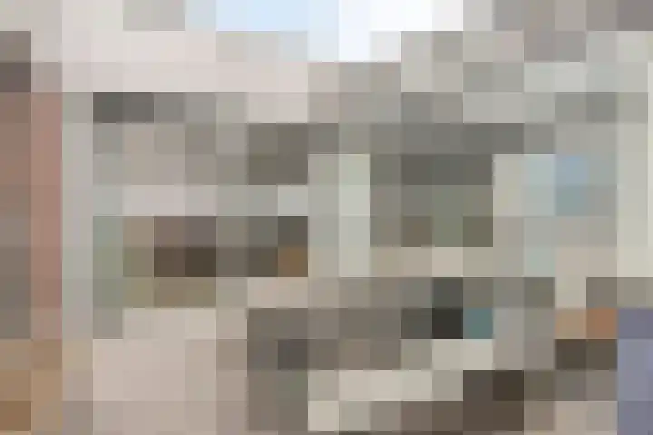 Jaagpad 51 Alkmaar thumbnail 39