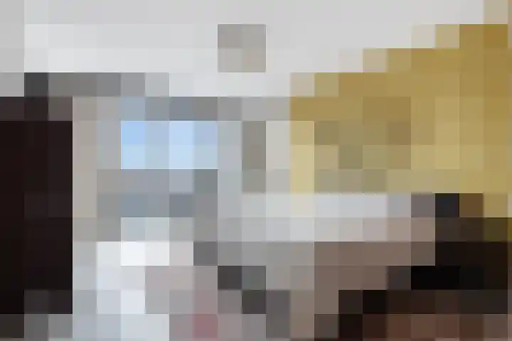 Jaagpad 51 Alkmaar thumbnail 43