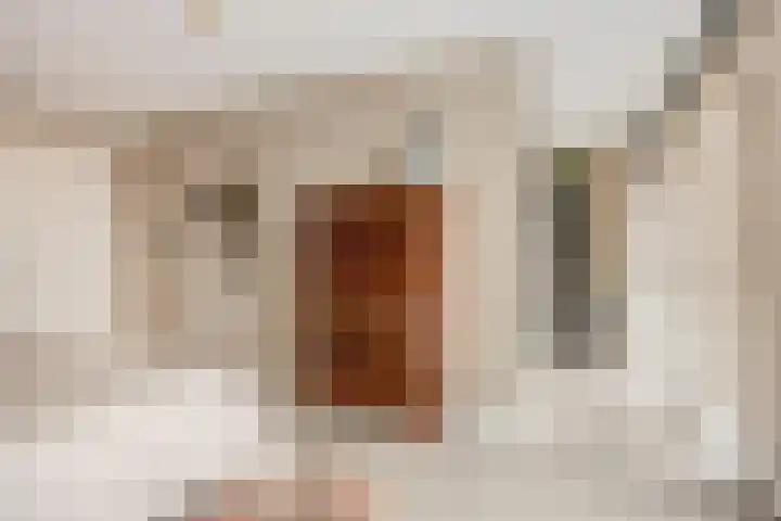 Jaagpad 51 Alkmaar thumbnail 45