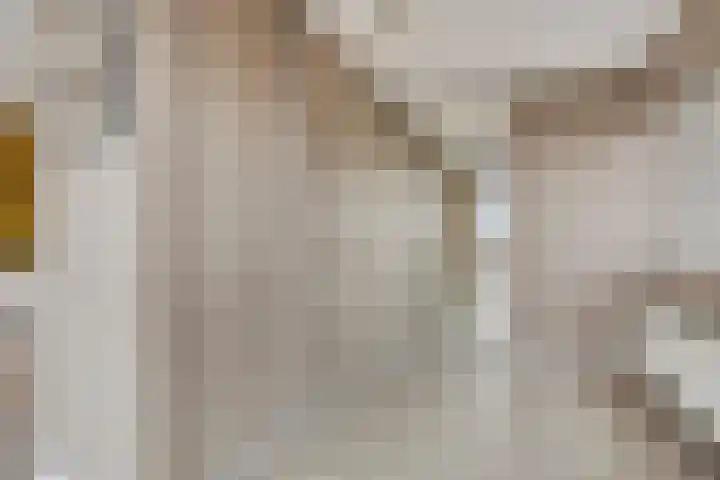 Jaagpad 51 Alkmaar thumbnail 47