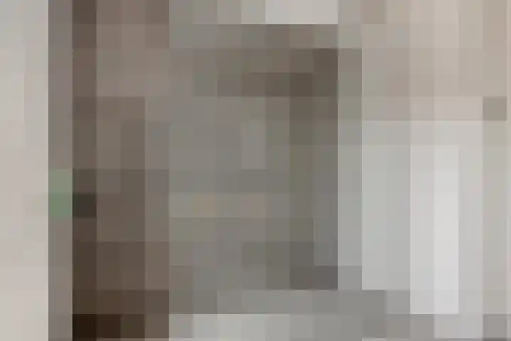 Jaagpad 51 Alkmaar thumbnail 50