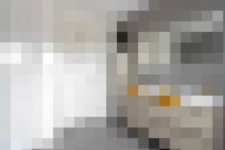 Jaagpad 51 Alkmaar thumbnail 51