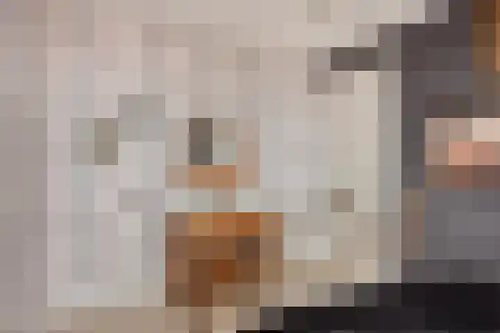 Jaagpad 51 Alkmaar thumbnail 54
