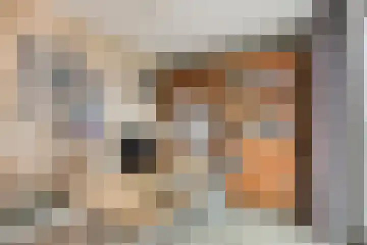 Jaagpad 51 Alkmaar thumbnail 56