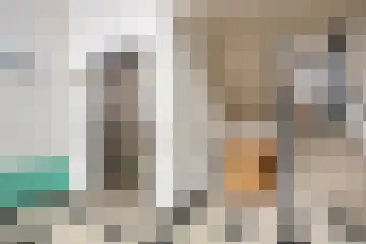 Jaagpad 51 Alkmaar thumbnail 57