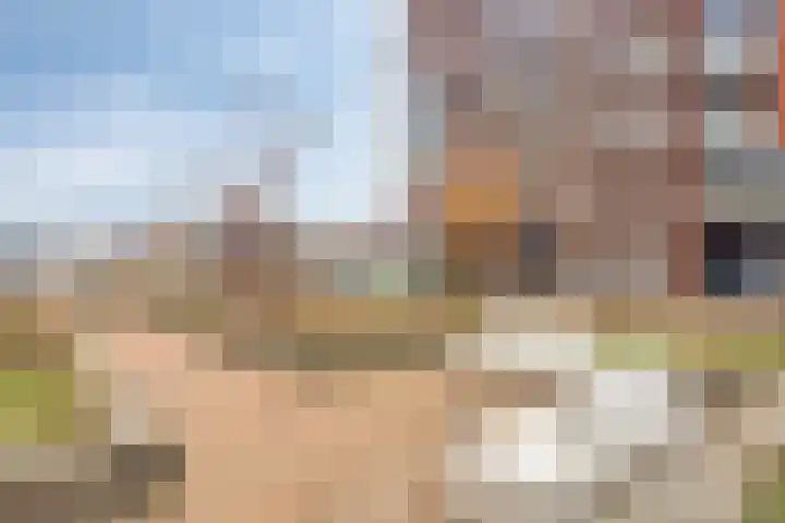 Jaagpad 51 Alkmaar thumbnail 63