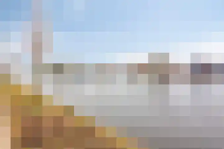Jaagpad 51 Alkmaar thumbnail 64